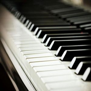 天天干天天干天天色
