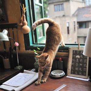 天天干天天干天天色
